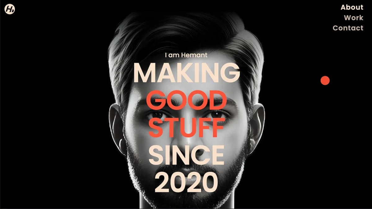 Professional portfolio