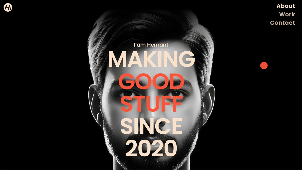 Professional portfolio